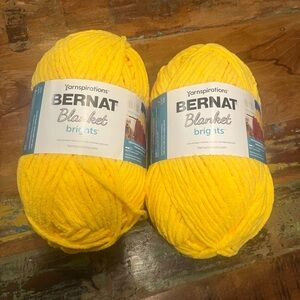 Two New Skeins of Bernat Blqnket Brights Yarn
